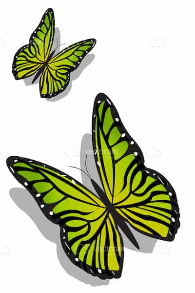 Pair of Lovely Green Butterflies